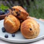 greek yogurt and blueberry muffins on a white plate
