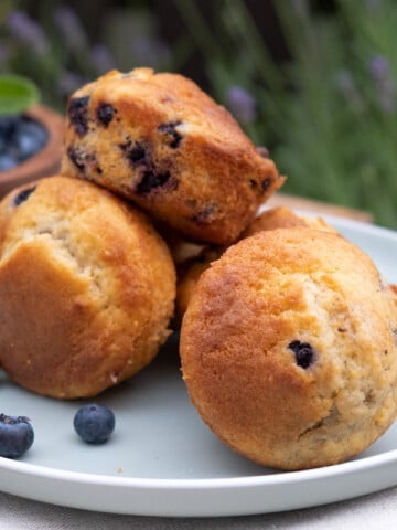 greek yogurt and blueberry muffins on a white plate