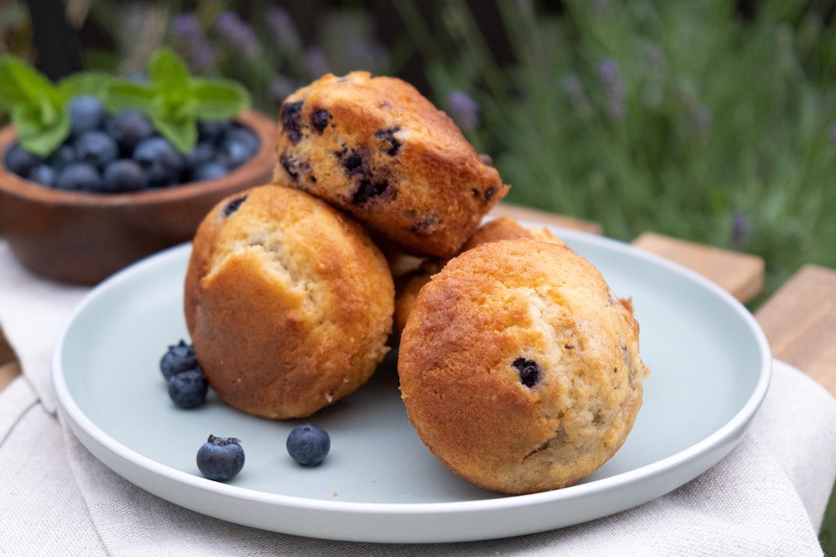 greek yogurt and blueberry muffins on a white plate