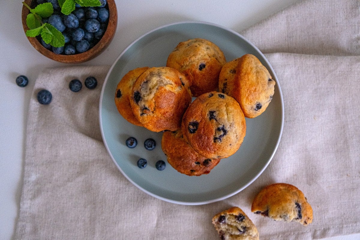 blueberry and greek yogurt muffins on a plate with blueberries